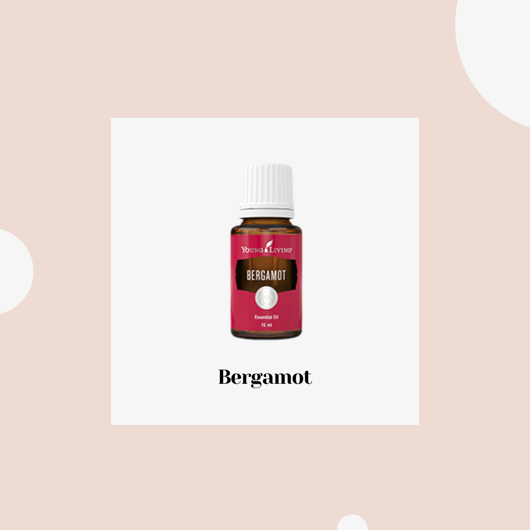 Bergamot – Bergamota