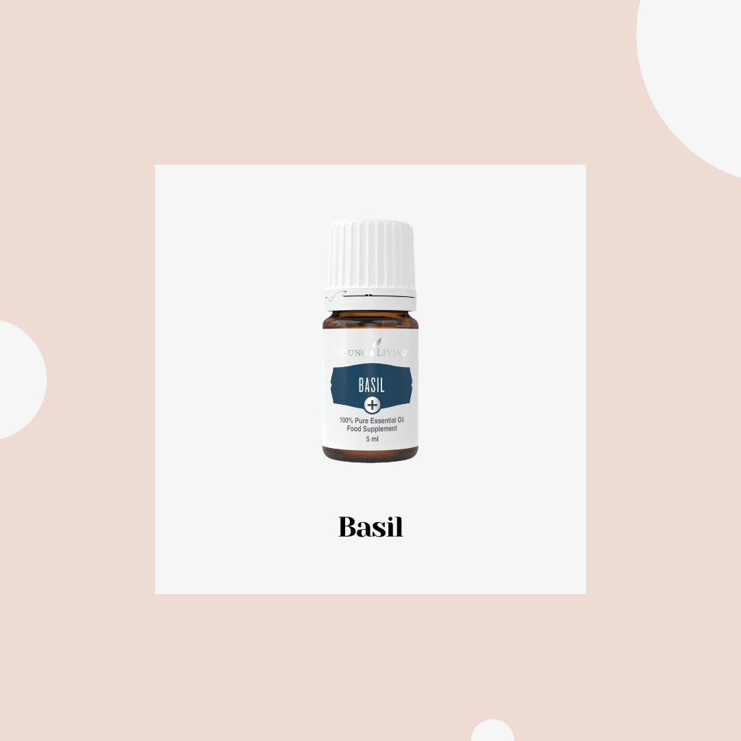 Basil – albahaca