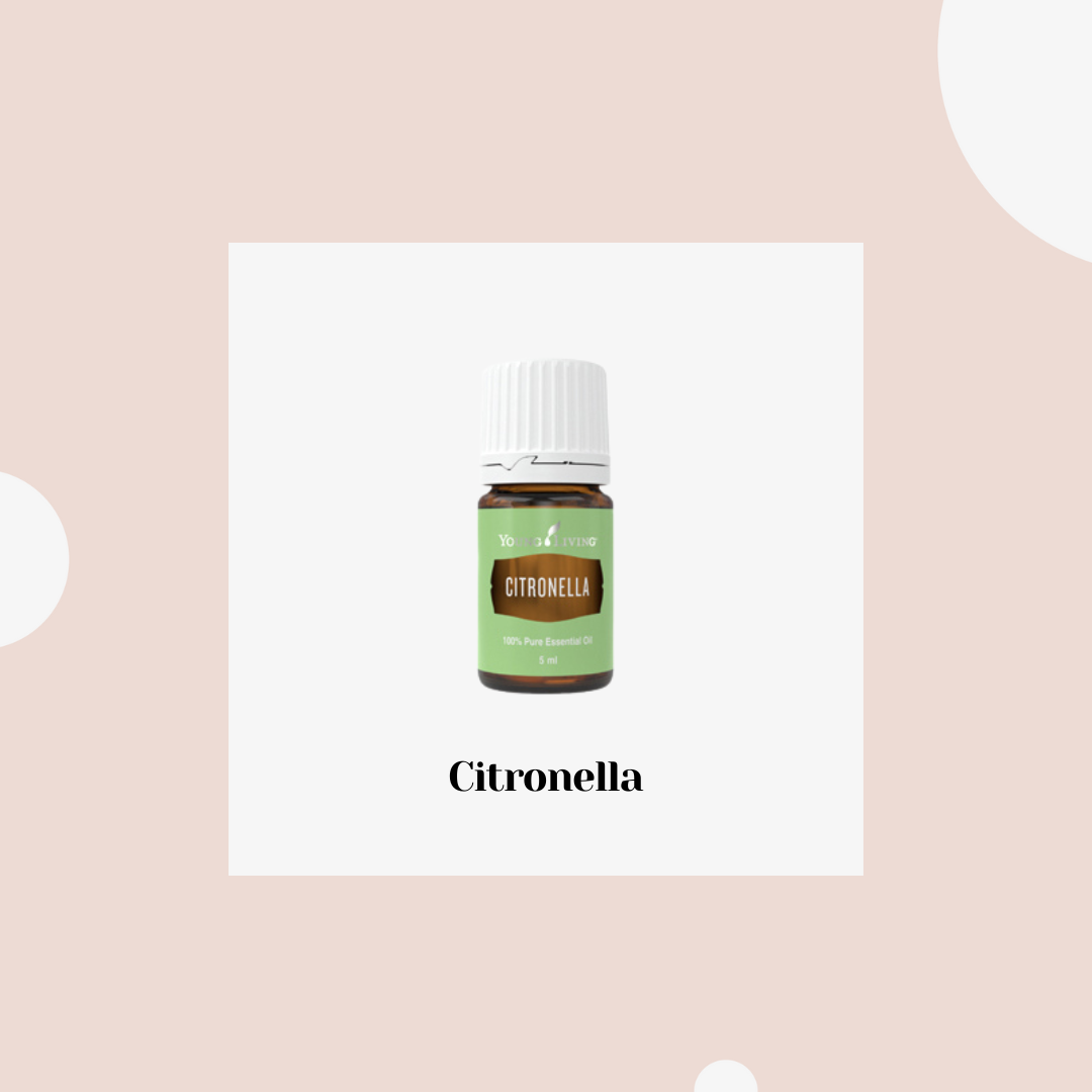 Citronella