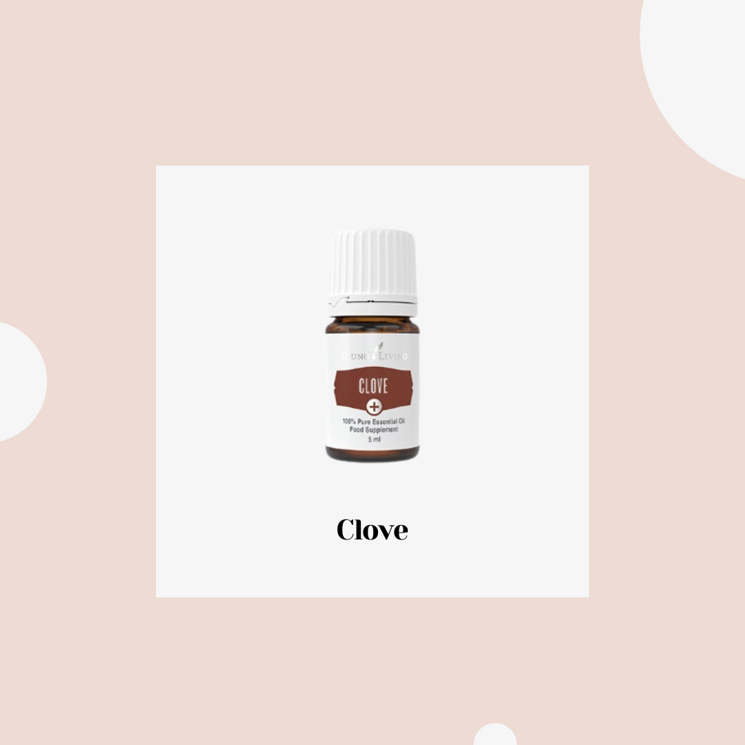 Clove – clavo