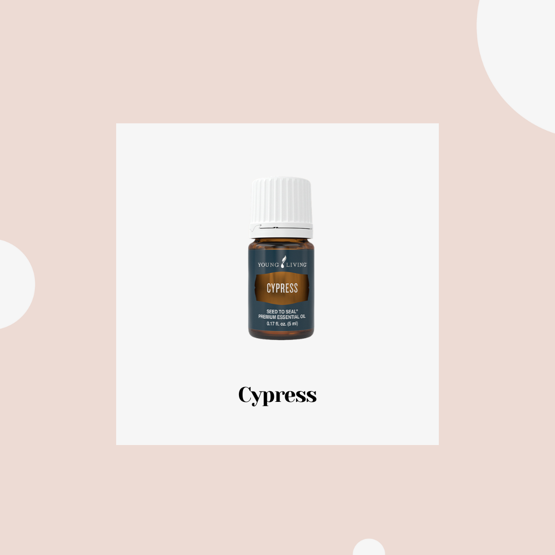 Cypress- Ciprés
