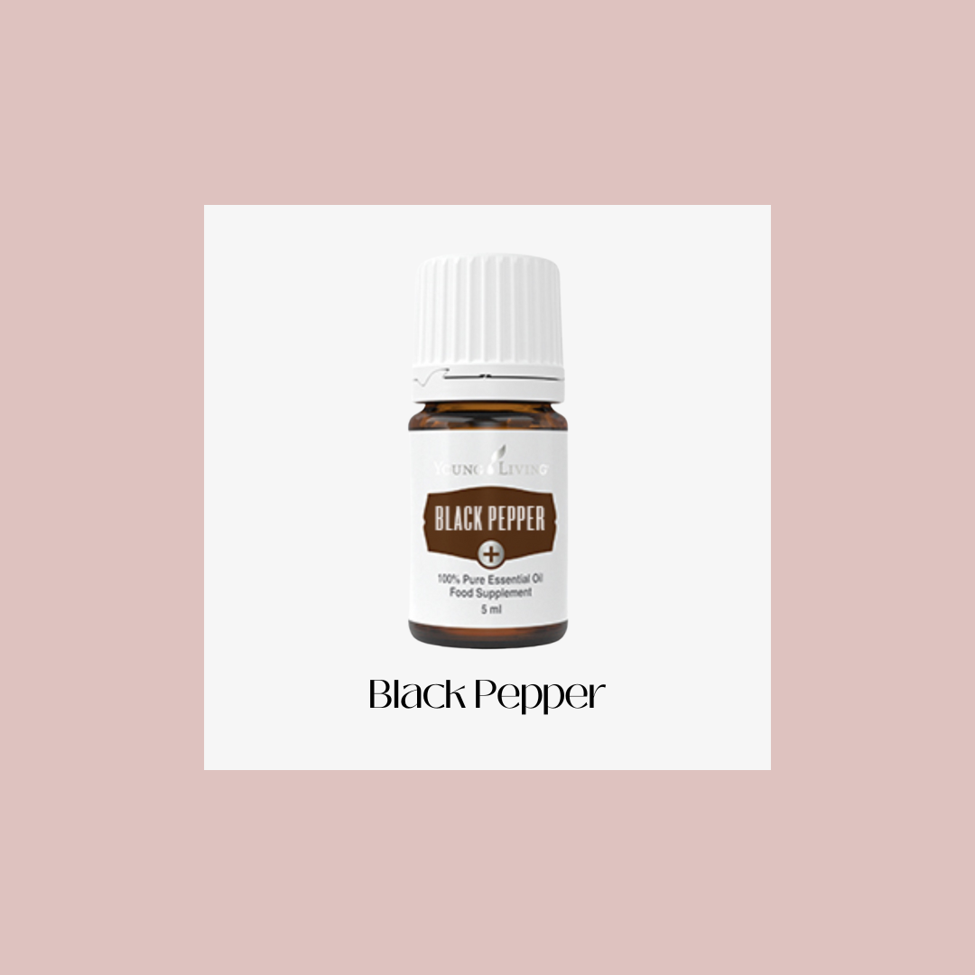 Black Pepper – Pimienta negra