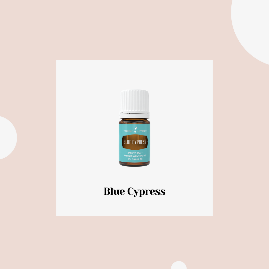 Blue Cypress