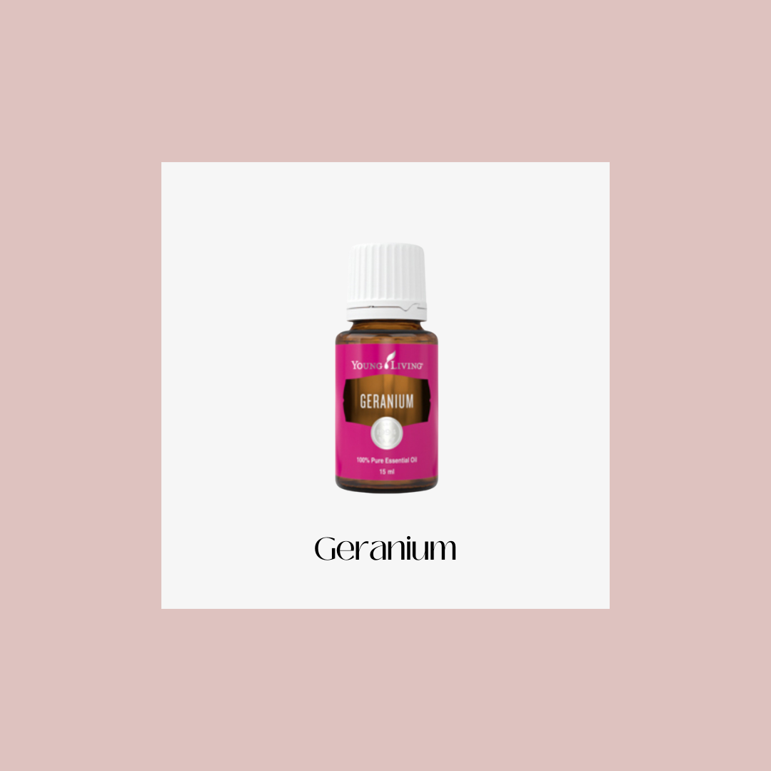 Geranium – geranio