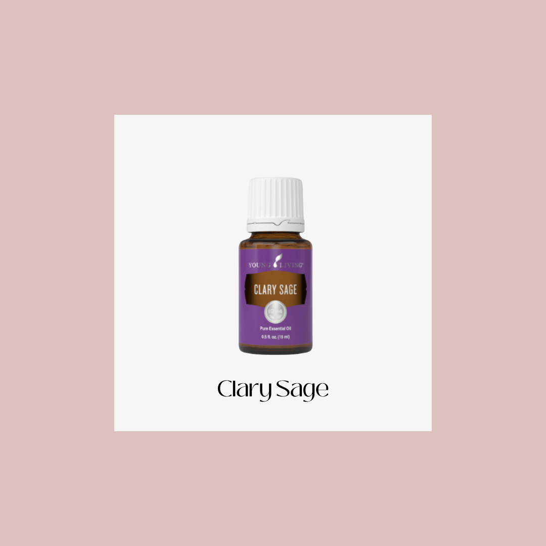Clary sage – salvia esclarea