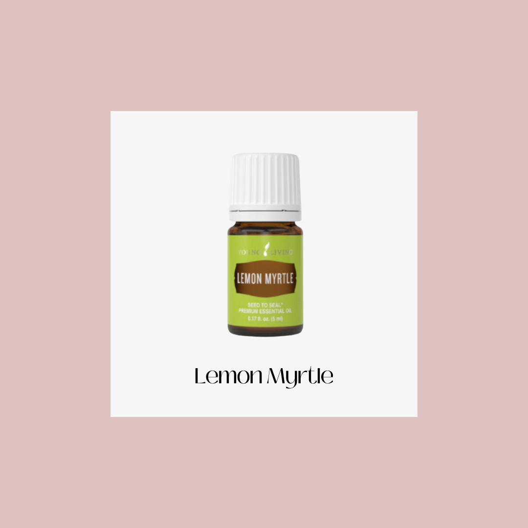 Lemon Myrtle – mirto limón