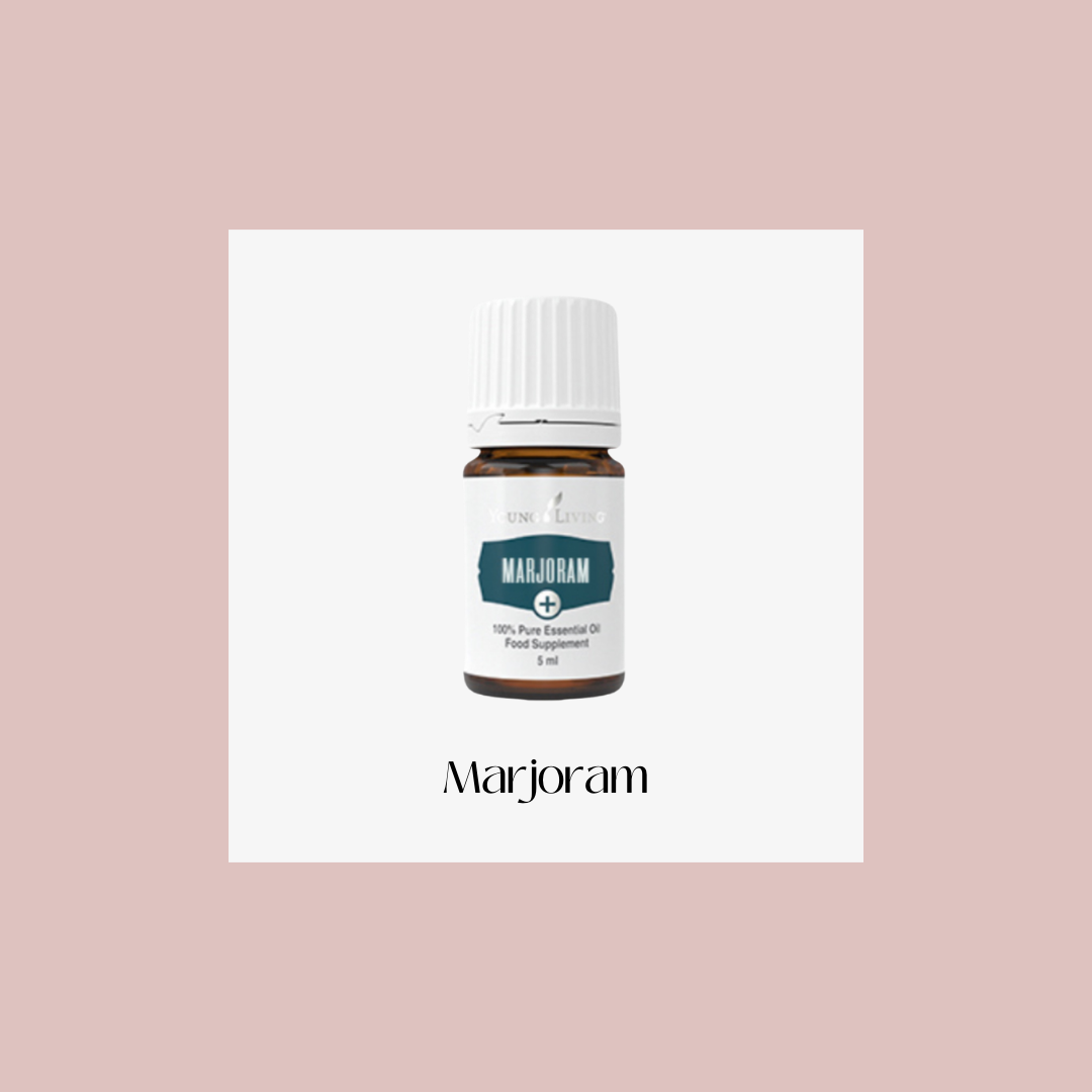 Marjoram – mejorana