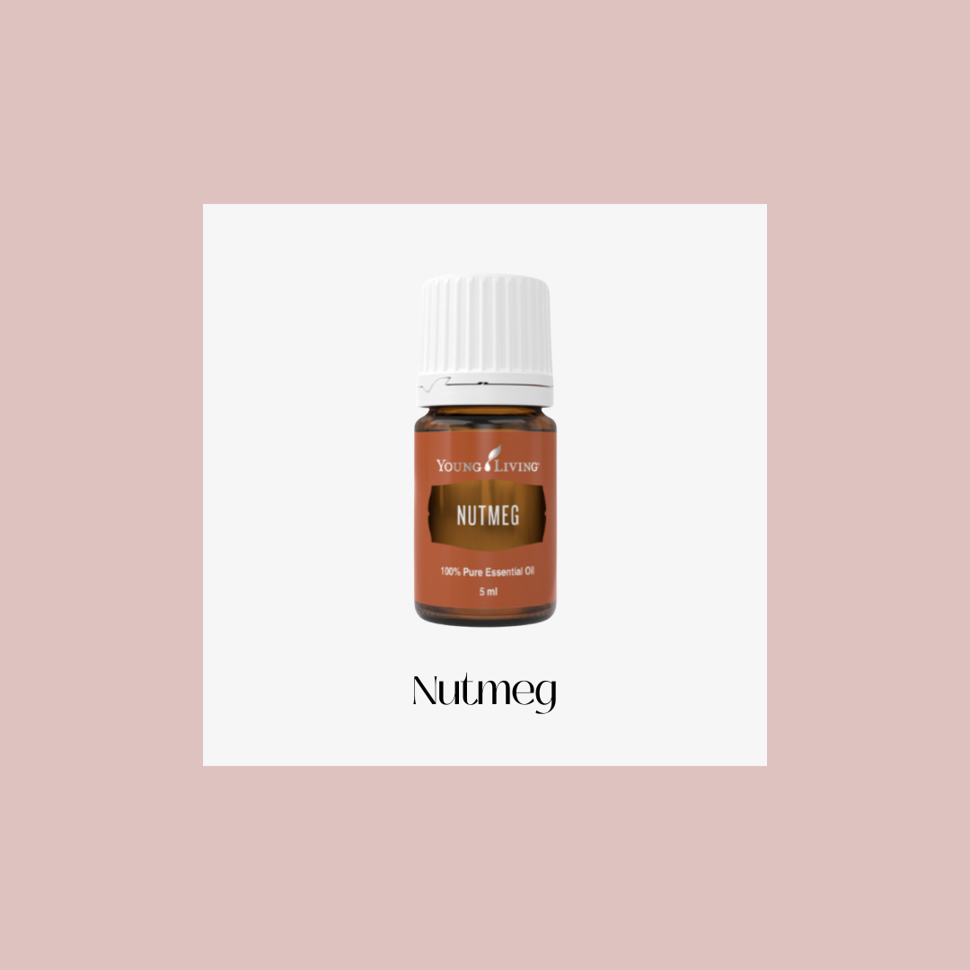 Nutmeg – nuez moscada