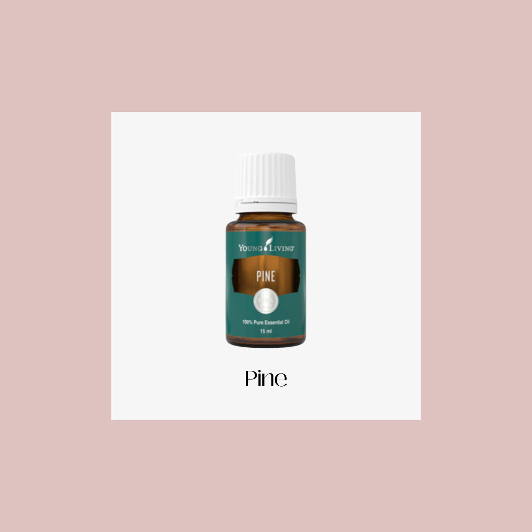 Pine