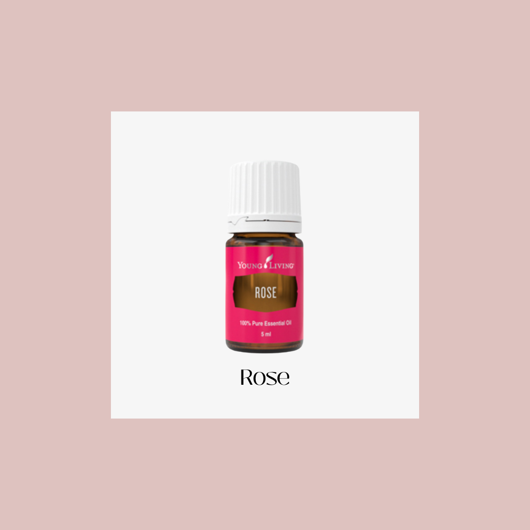 Rose – rosa