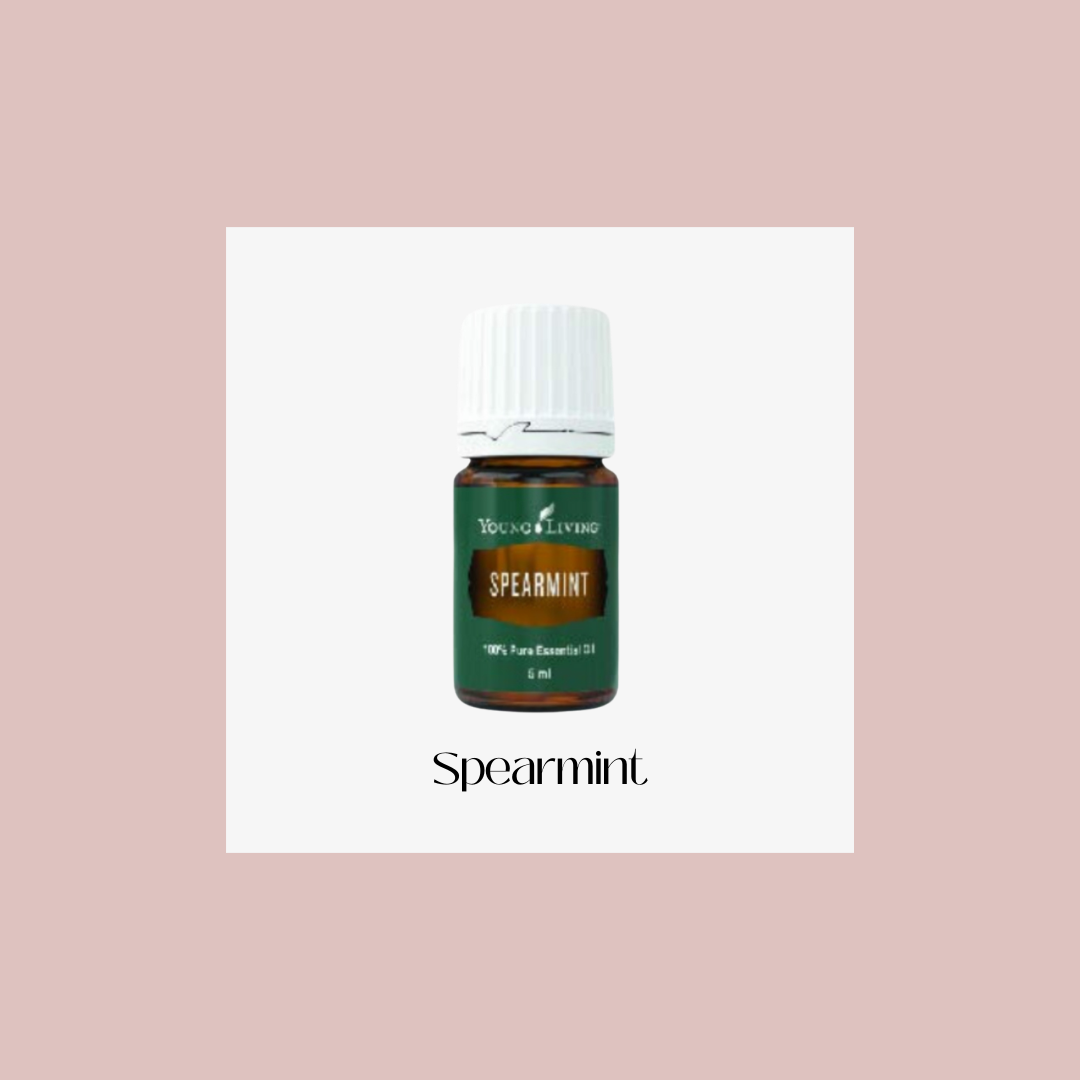 Spearmint – hierbabuena