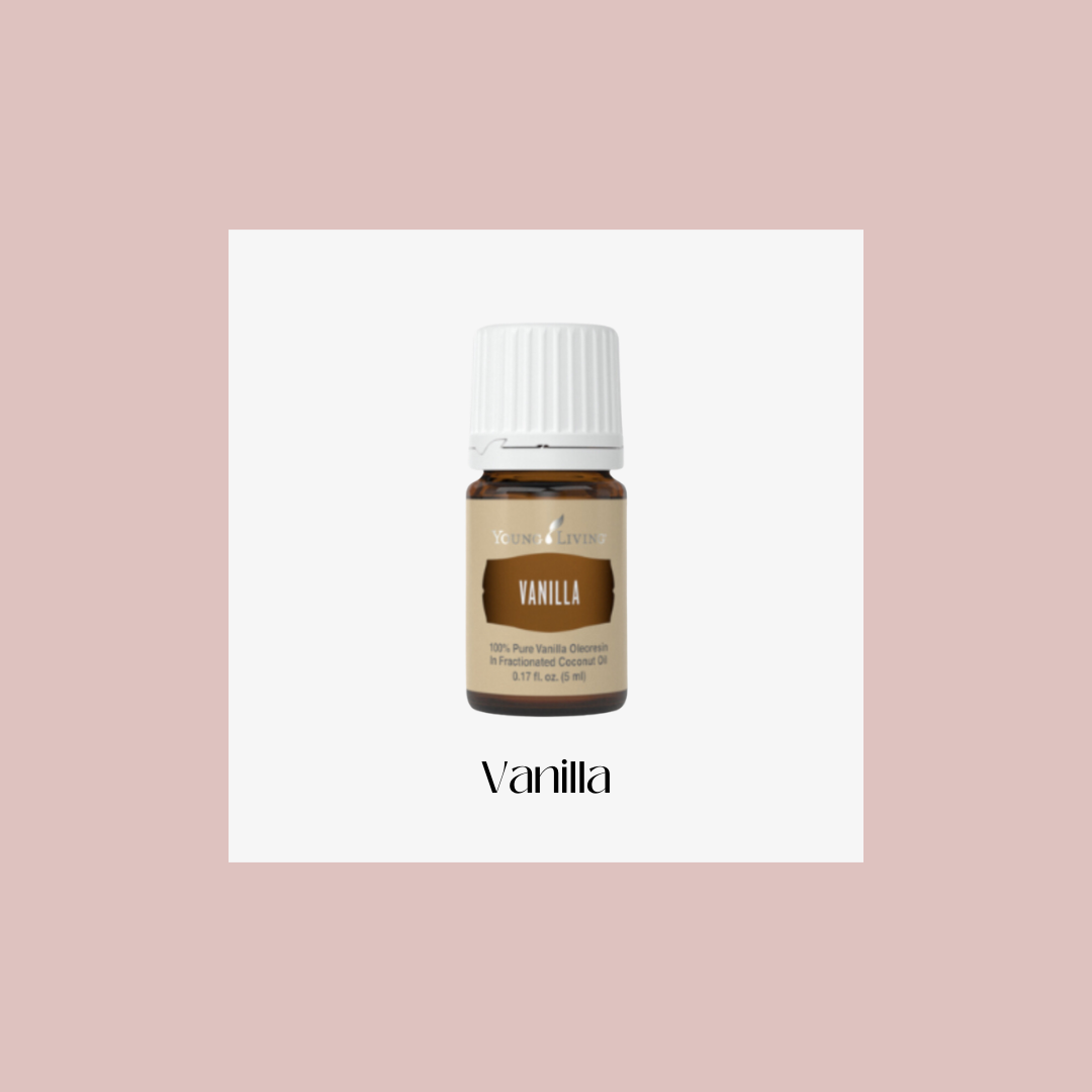 Vanilla – vainilla