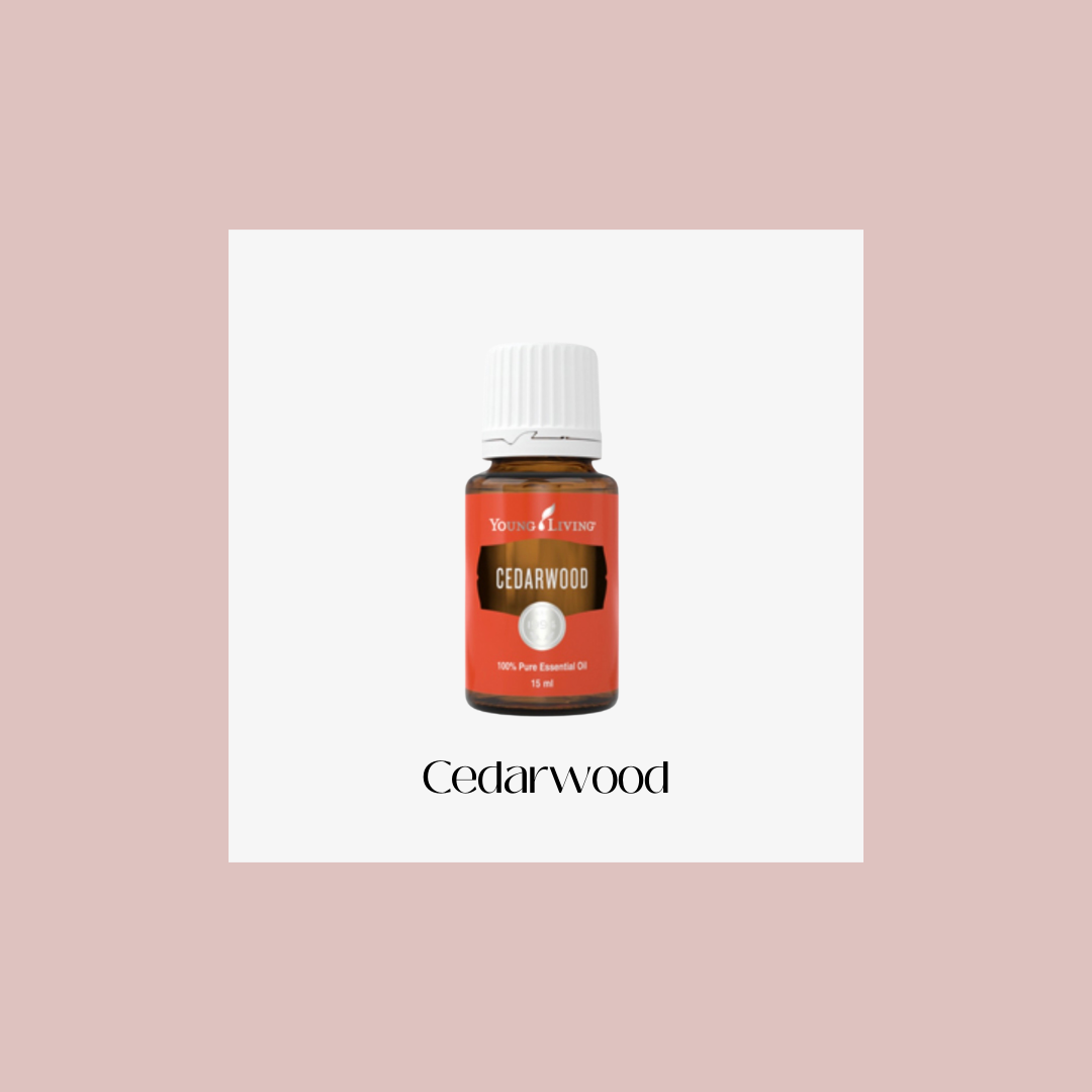 Cedarwood – Cedro