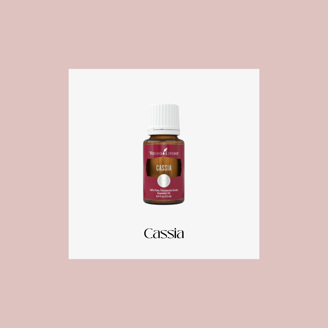 Cassia